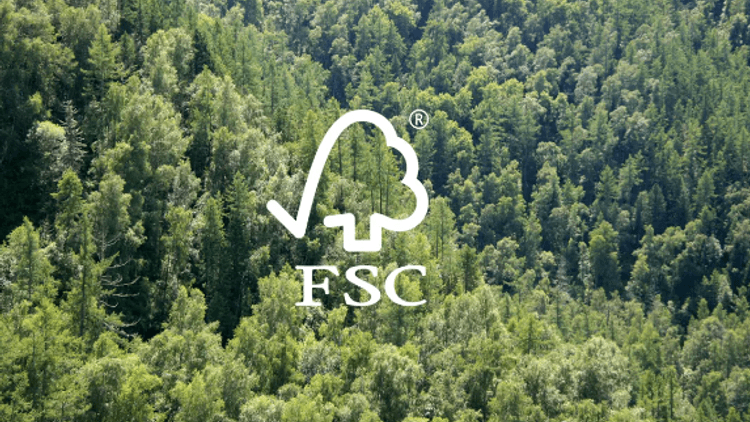 FSC label in a responsibly managed forest