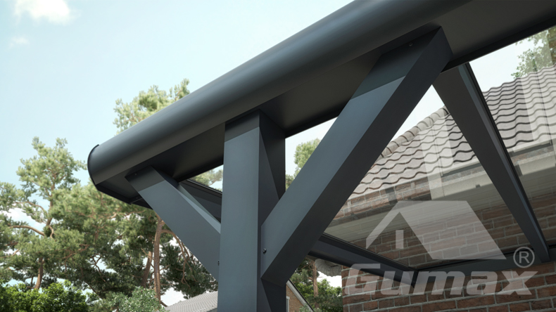 Struts ( normal )